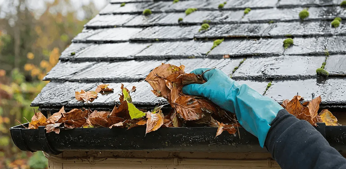 Gutter cleaning technician clearing wet leaves from roof gutters in Worcester, MA
